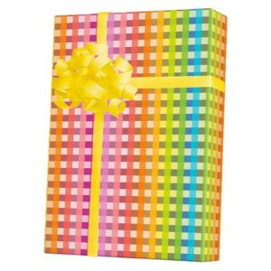 Rainbow Gingham
