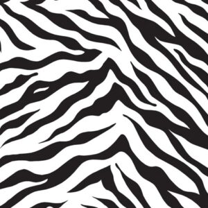 Zebra Stripes