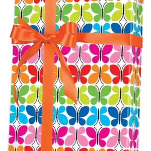 Butterfly Reflections