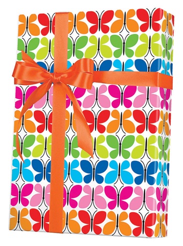 Butterfly Reflections