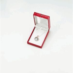 RC-06L Large Pendant Crocodile Box