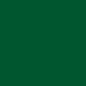 Christmas Forest Green
