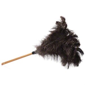Ostrich feather duster