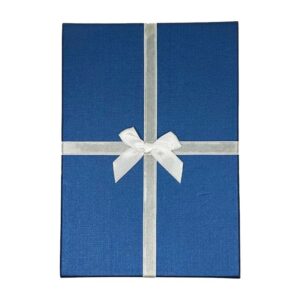 NRY-10LMetallic Navy Necklace Box