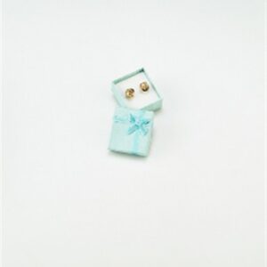 NRY-1 Pastel Bowtie Earring Box