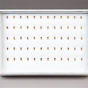 60 Pendant (hooks) Tray