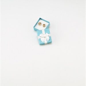 NRY-1 Metallic Teal Blue Earring