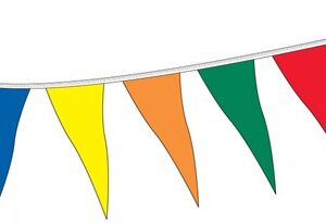 105' Pennant in Assorted Colors
