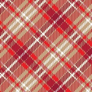 Just Plaid / KraFT | Just Plaid /kraft