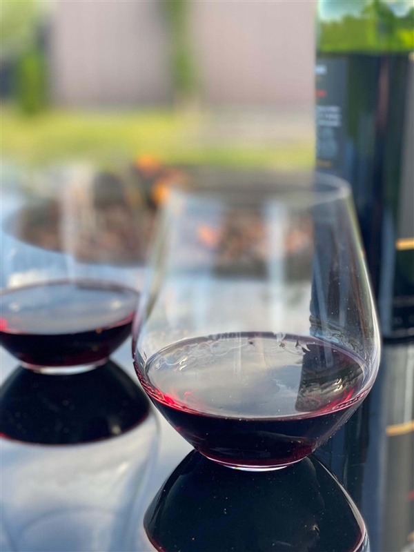 Grus 17oz Stemless Tumbler - Image 2