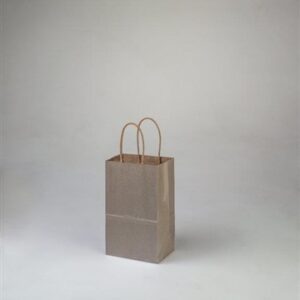 Rose Metallic Silver Shopping Bag
