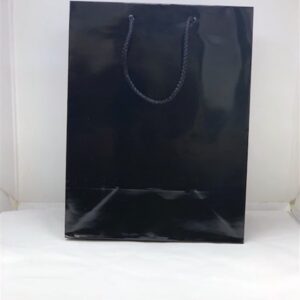 Cub Glossy Black Eurotote